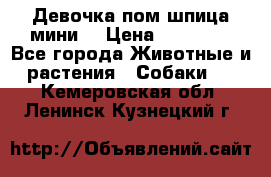 Девочка пом шпица мини  › Цена ­ 30 000 - Все города Животные и растения » Собаки   . Кемеровская обл.,Ленинск-Кузнецкий г.
